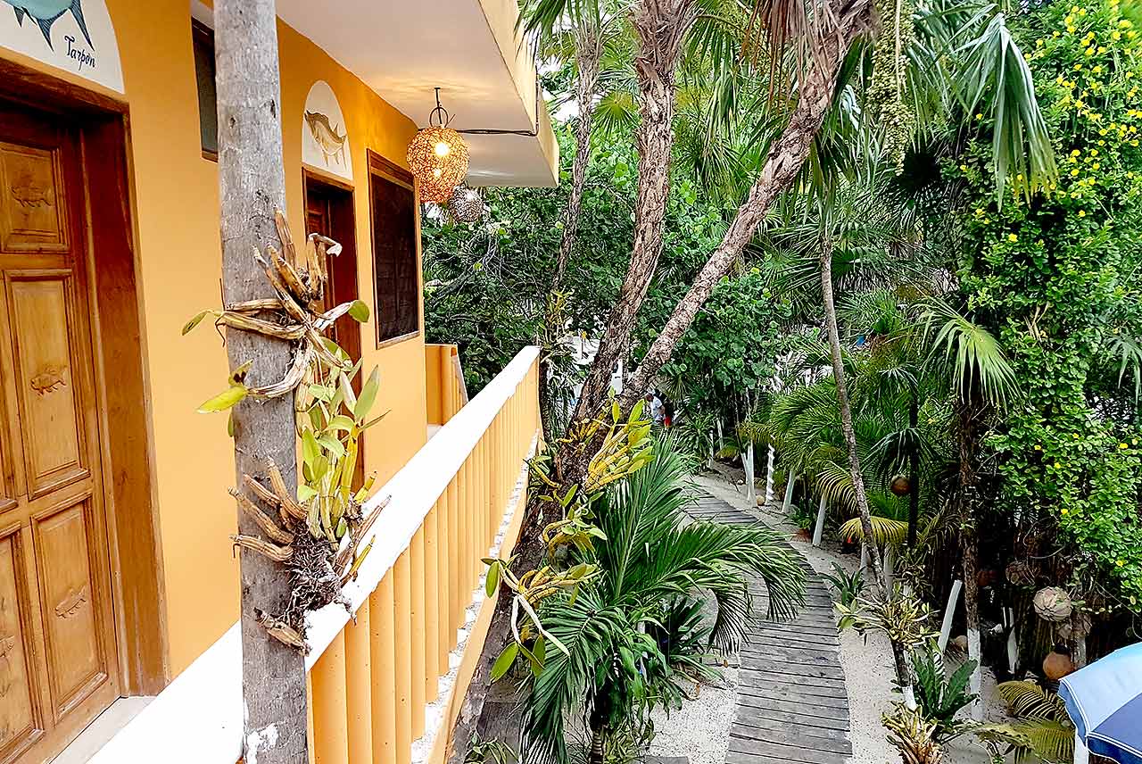 Wonderful Orchids Flowers Gardens Ascension Bay Mexico Fly Fishing Lodge