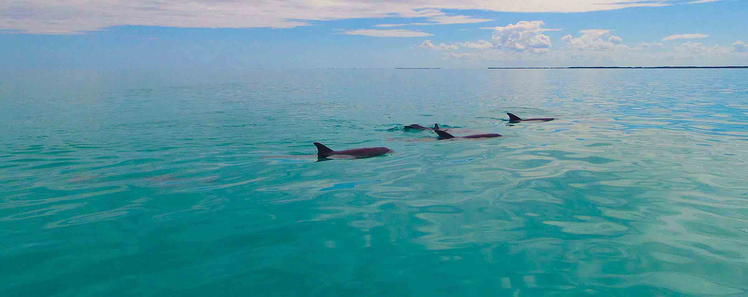 Sian Ka'an Eco-Tours Adventures Punta Allen Mexico Fly Fishing Lodge